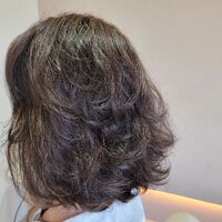 画像1309
